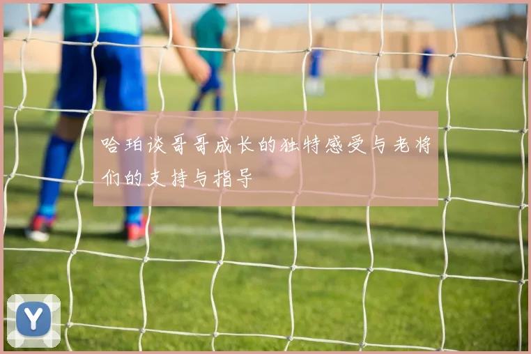 哈珀谈哥哥成长的独特感受与老将们的支持与指导